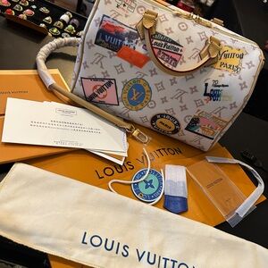 Louis Vuitton Speedy Soft 30 Monogram Dune Bag